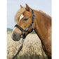 gamarra de nylon para PONY  Everyday USG