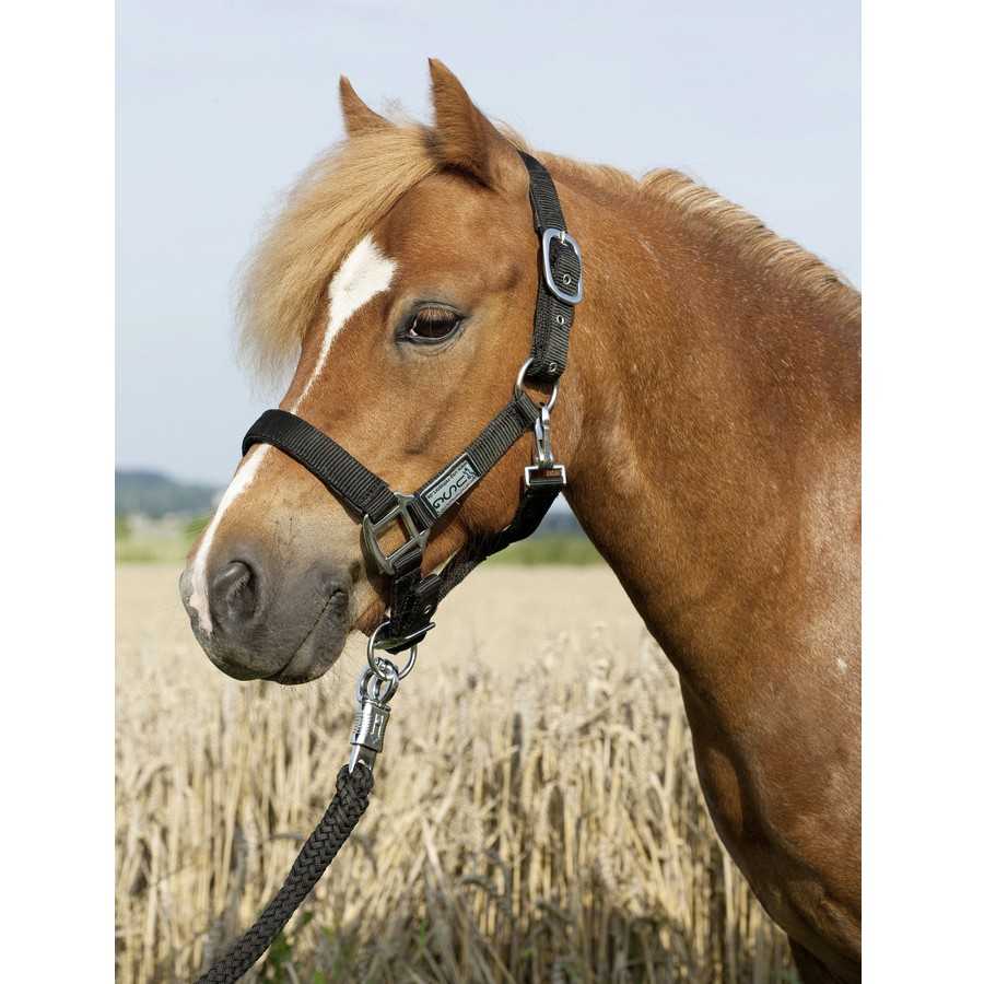 gamarra de nylon para PONY  Everyday USG