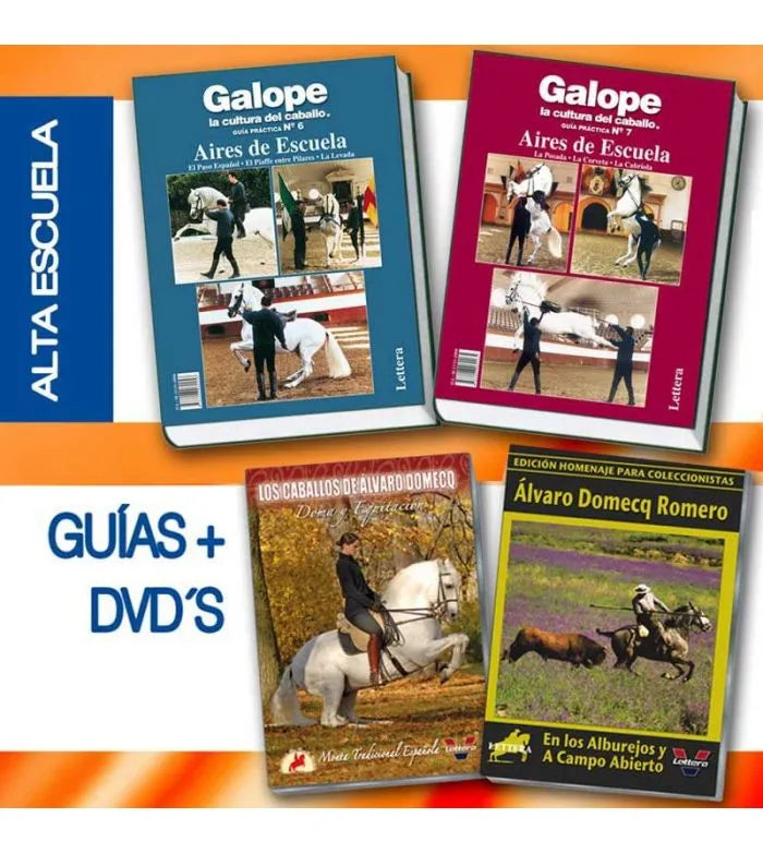 DVD + LIBRO COLECCIÓN PACK: ALTA ESCUELA