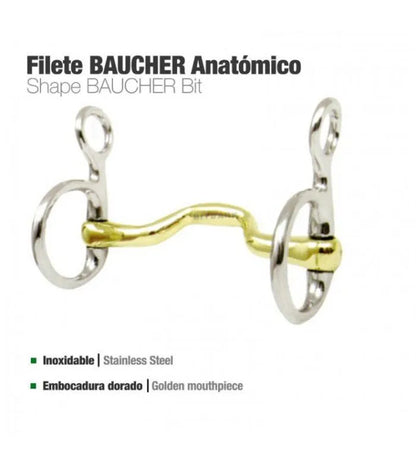 FILETE BAUCHER EMBOCADURA ANATÓMICA INOXIDABLE