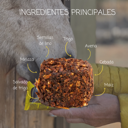 GOLOSINA STUD MUFFINS PACK DE 15