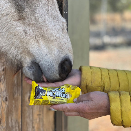 GOLOSINA   STUD MUFFINS PACK DE 3