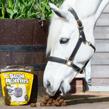 GOLOSINA STUD MUFFINS PACK DE 45